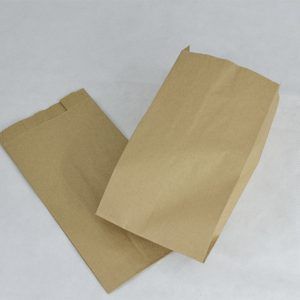 Bolsa de Papel del #3 (100 Piezas)