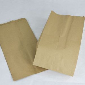 Bolsa de Papel del #6 (100 Piezas)